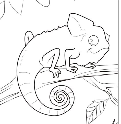 Chameleon Colouring Page