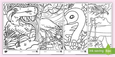 Flamingo Mindfulness Colouring Page