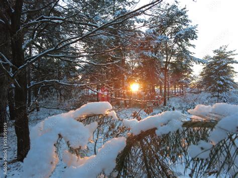 Image result for Nature