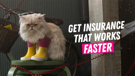 Lemonade Insurance Fraud 的图像结果