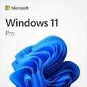 MICROSOFT Windows 11 Professional Updated Latest Edition (1 User 1 Pc ...