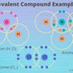 Covalent Substances Examples 的图像结果