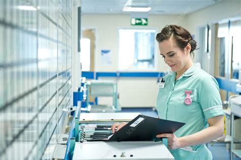 Clinical Support Worker 的图像结果