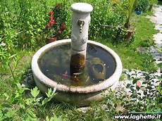 vasca pesci da giardino laghetto it sito per gli appassionati di laghetti pesci vasca pesci da giardino laghetto it sito per gli appassionati di laghetti pesci