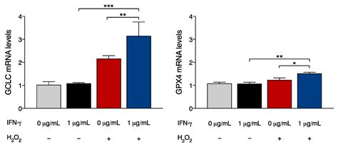 Interferon Gamma Enhances Cytoprotective Pathways via Nrf2 and MnSOD ...