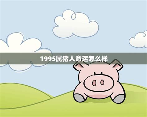 1995属猪人命运怎么样(解析财富、事业、感情、健康、运势)