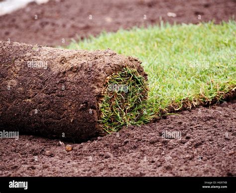 Carpet of turf - roll of sod - turf grass roll Stock Photo - Alamy
