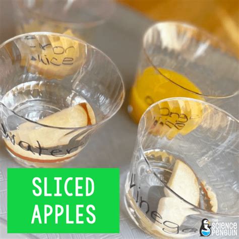 Science KS1 的图像结果