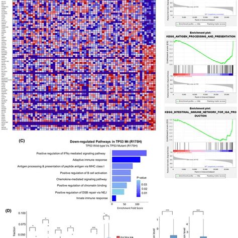 Heat Map of Transcriptome Analysis of Pathogen Infection 的图像结果
