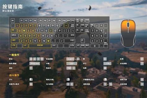 FPS Basics 的图像结果