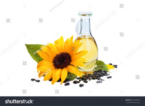 362,958 Oils Seeds Images, Stock Photos & Vectors | Shutterstock