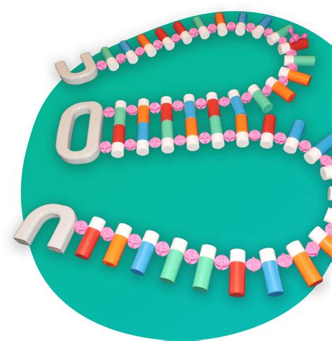 DNA Model Tutorial 的图像结果