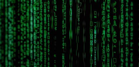 Image result for Computer Science Algorithm Image Human