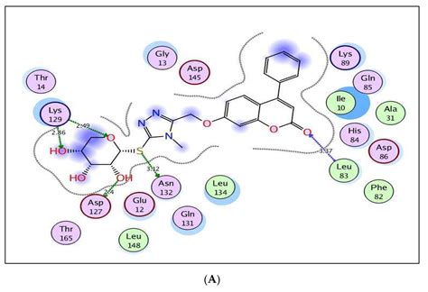 New 1,2,3-Triazole-Coumarin-Glycoside Hybrids and Their 1,2,4-Triazolyl ...