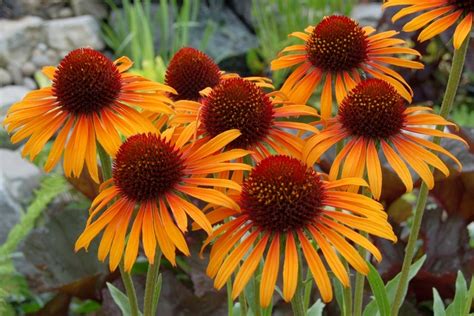 Image result for Edge Sorting Example