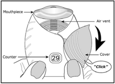 Advancements in the Design and Development of Dry Powder Inhalers and ...