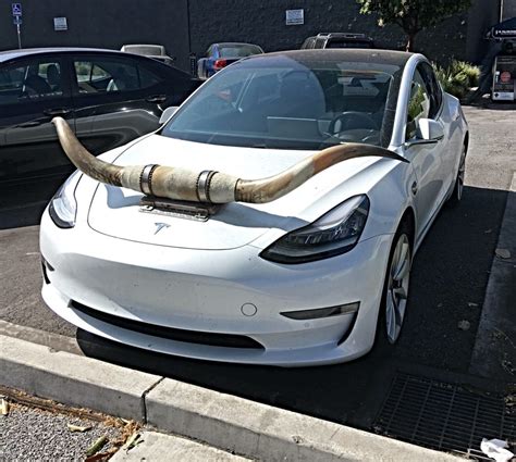 Image result for Car Modfaid