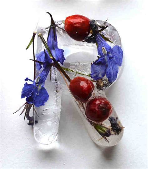 Image result for Letra Script