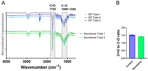 Electrospun DegraPol Tube Delivering Stem Cell/Tenocyte Co-Culture ...