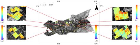 Enhancing Pear Tree Yield Estimation Accuracy by Assimilating LAI and ...