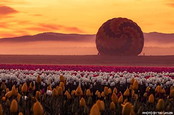 Image result for Spring Into Summer First Performance