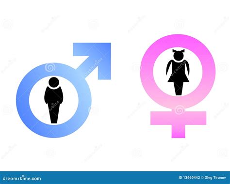 Male and female signs stock vector. Illustration of isolated - 13460442
