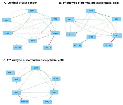 Cell State Transition Models Stratify Breast Cancer Cell Phenotypes and ...