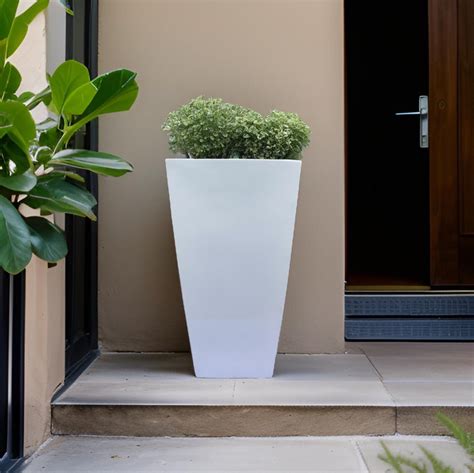 Planters for offices and home- designer flower pots. – The Plant Shop