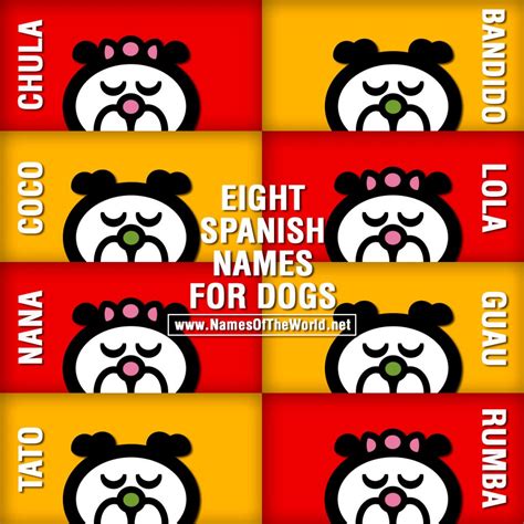 Eight Spanish names for dogs