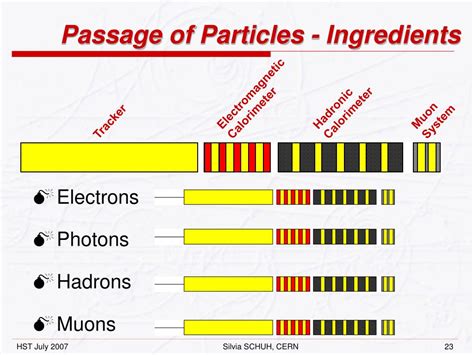 Particle Physics Experiments 的图像结果
