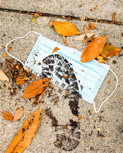 Image result for Isolation Mask