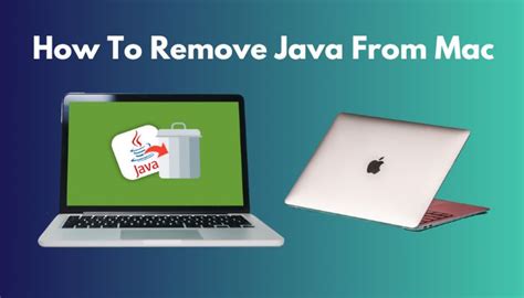 Image result for How to Remove Java
