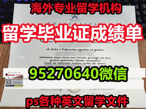 双硕士学位英文南十字星大学毕业证文凭 | PPT