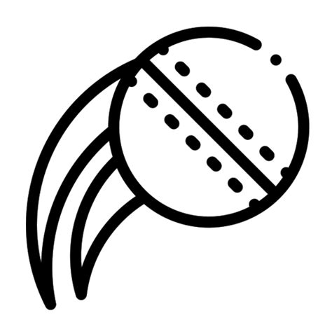 Loongs Cricket Academy