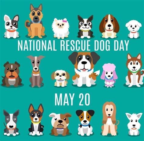Happy National Rescue Dog Day! Share a Picture of Your Rescue Pup
