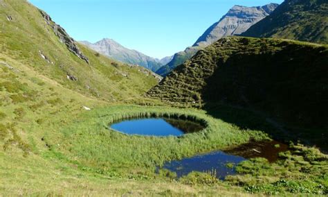 Image result for Circular Landscape Design