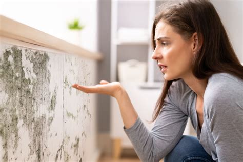 Mold Allergy: Understanding the Symptoms, Impact, and Solutions
