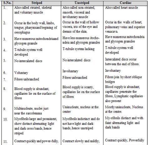 Animal Tissue - Structural Organisation in Animals, Biology, Class 11 ...