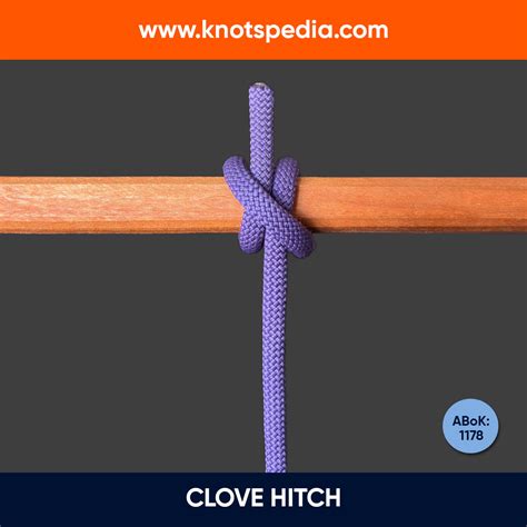 Image result for Knot Tying Tutorial Figure Eight