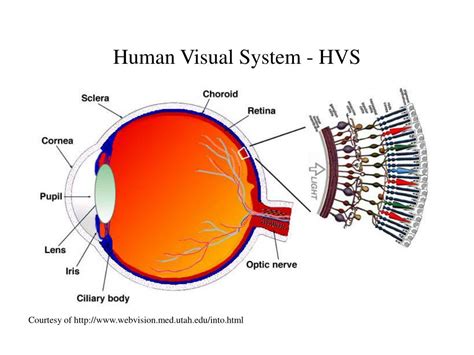 Image result for PC Computer Java Graphic