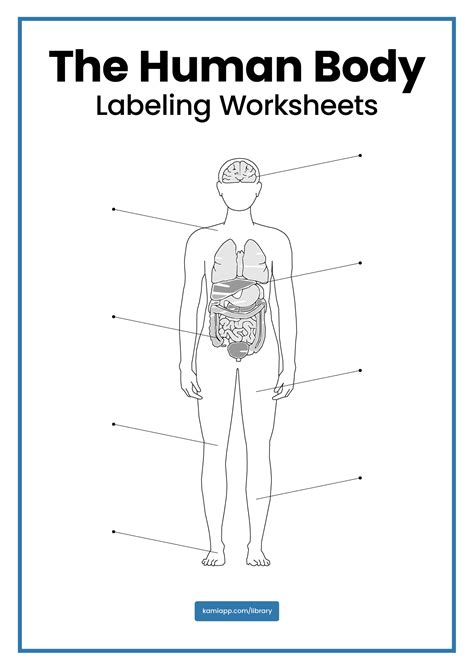 Human Labeling Worksheet Pack for Teachers | Perfect for grades 4th ...