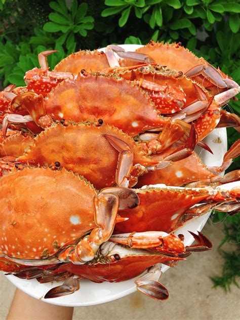 嘟噜蟹子腌制方法 - 业百科