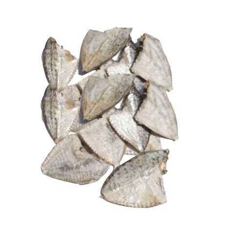 MUDASAL Dry Silver Fish, (Mullan Fish,Bony Fish, karaipodi, karal ...