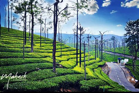 Mahesh Photography