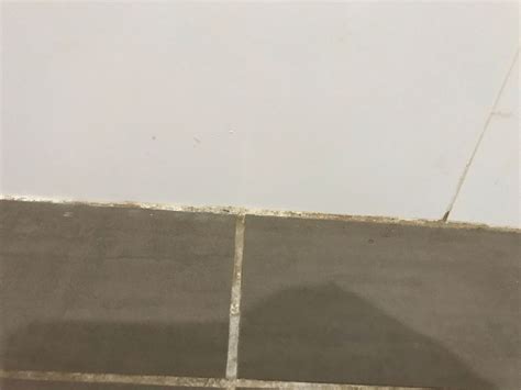 Image result for Remove Calcium Build Up