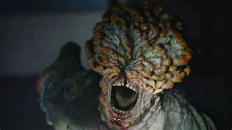 Terrifying The Last of Us 'zombie fungus' that eats its host from ...