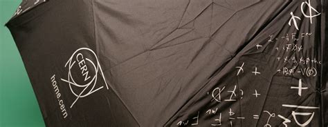 Image result for CERN Standard Model