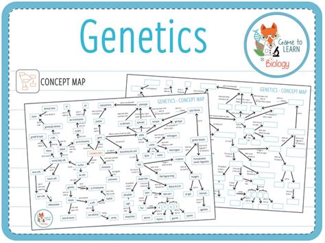 Image result for Genetic Engineering Concept Map