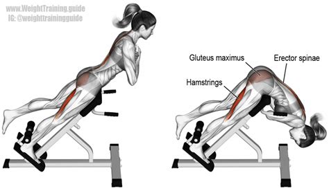 glute extension workout