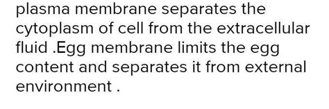 what is similar in plasma membrane and egg membrane - Brainly.in
